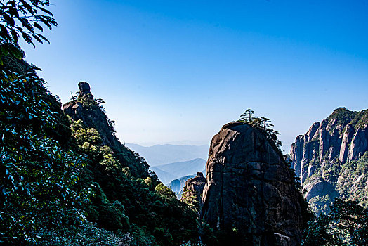 听话水购物平台F3381681-338168